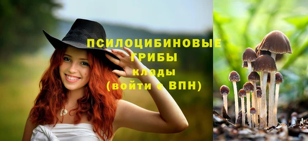 марки nbome Покачи