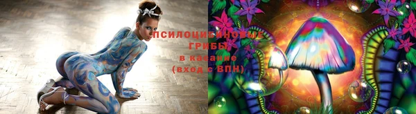 гидра Пролетарск