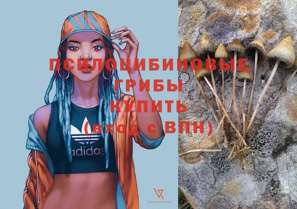 метамфетамин Приозерск